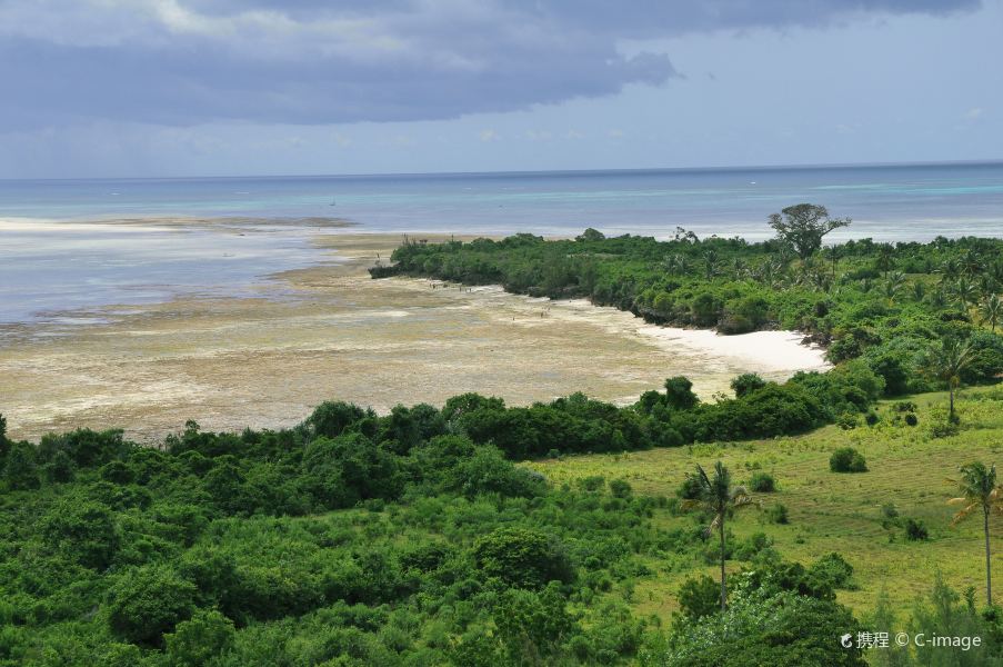 Prague to Pemba Flights