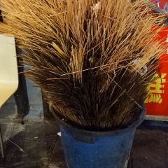 HAO CHI JIE User Photo