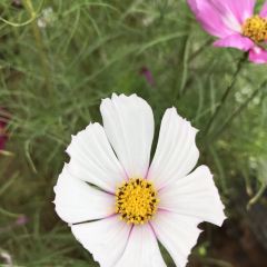 龙门山庄 User Photo