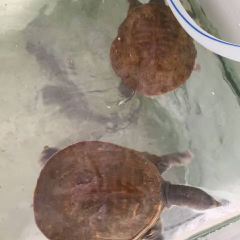 鱼奴火锅店 User Photo