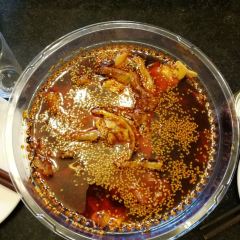 周记祖传棒棒鸡(团结街店) User Photo