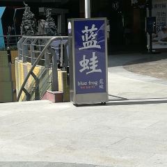Blue Frog (Aqua City) User Photo