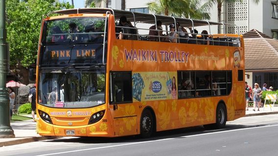 Waikiki Trolley