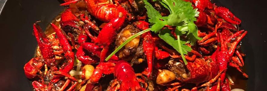 Panggeliarouxiebao (tianyicheng)