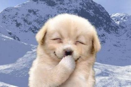 Sushi Beef Noodles (huajian)