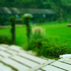 义远有机农场餐厅 User Photo