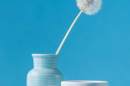 GA BA YI NIU PAI GONG REN LU DIAN