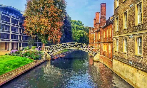 케임브리지 대학교