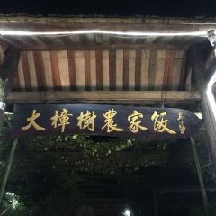 大樟树农家饭 User Photo