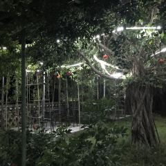 大樟树农家饭 User Photo