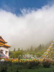 Lama Temple