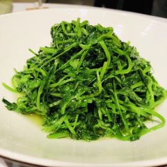 Han She (889 Plaza) User Photo