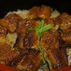 Honke Shibato User Photo