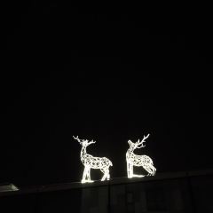 Papa Gede's Bar User Photo