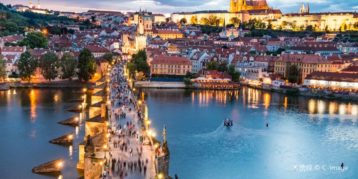 Charles Bridge