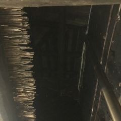 悠然山高山湿地公园西餐厅 User Photo