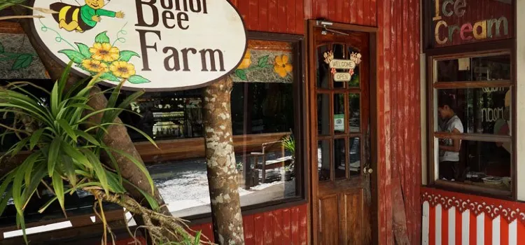 Bohol Bee Farm Resort