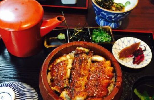 Unagi Kagami
