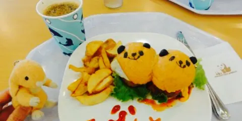 Adventure restaurant