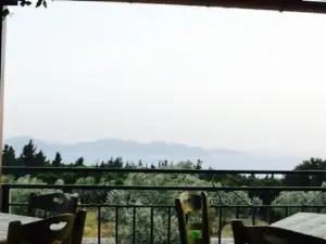 Veggera Taverna