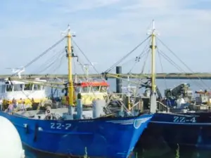 Proef Zeeland bij Neeltje Jans Mosselen