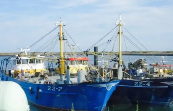 Proef Zeeland bij Neeltje Jans Mosselen