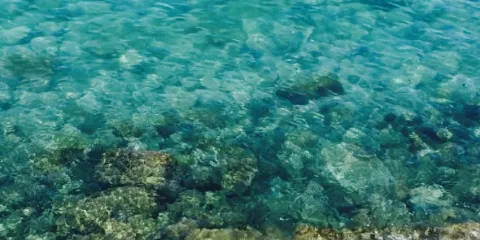 Michi No Eki Akune Restaurant