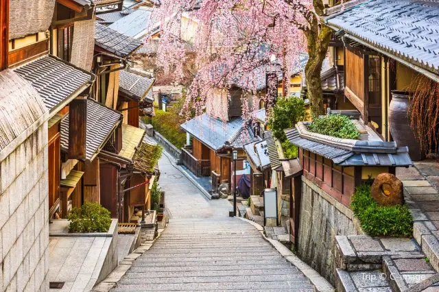 Walking Tours in Kyoto