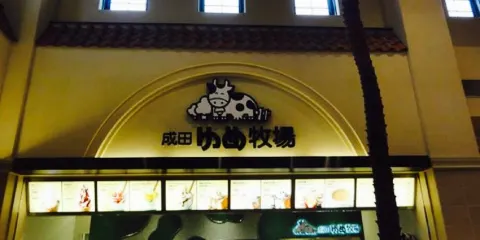 Narita Yume Bokujo Ami Premium Outlet