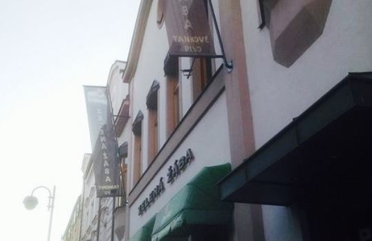 Zelena Zaba Restaurant & Sports Bar