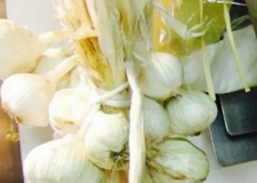 Antica Trattoria La Torre