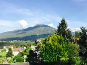 das MEI