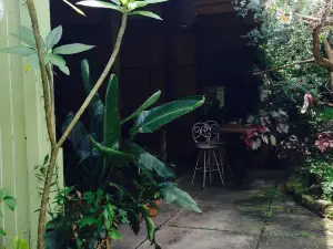 Lotus Health Food Cafe and Juice Bar