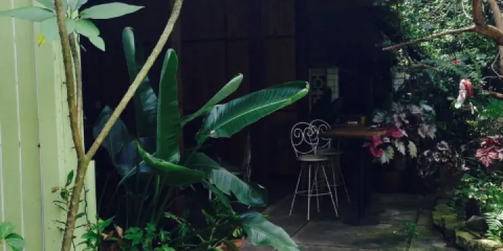 Lotus Health Food Cafe and Juice Bar