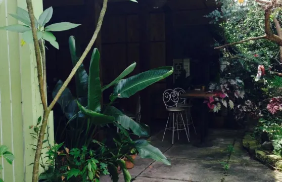 Lotus Health Food Cafe and Juice Bar