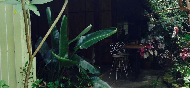 Lotus Health Food Cafe and Juice Bar
