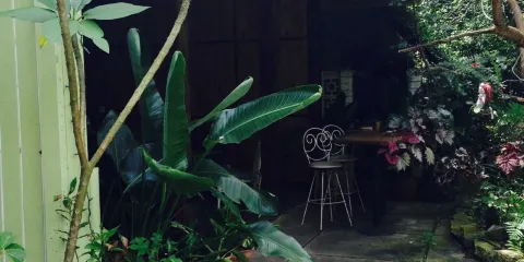 Lotus Health Food Cafe and Juice Bar