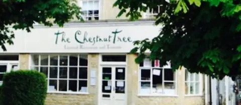 The Chestnut Tree