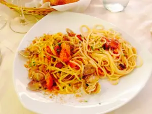 Cibo Qibo