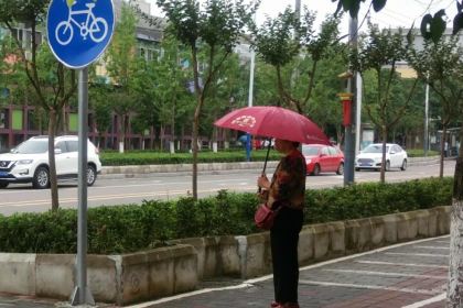 Juewei Duck Neck (daxuechengxijie)