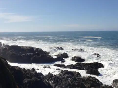 Taco Bell by the Sea