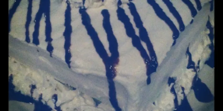 Porterhouse Steak and Seafood