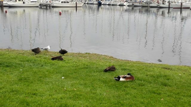 Wrest Point