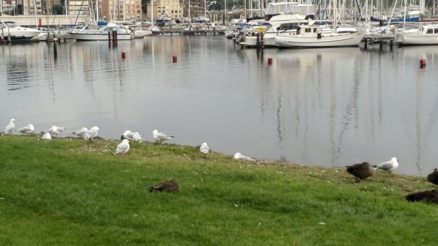 Wrest Point