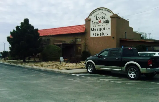 Lytle Land and Cattle Company