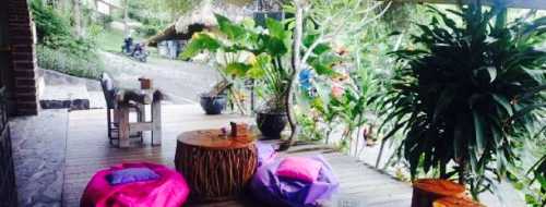 The Smoothie Shop Cafe