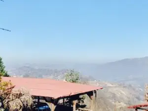 Tepebası Balık Lokantası