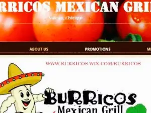 Burricos Mexican Grill