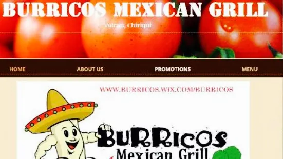 Burricos Mexican Grill