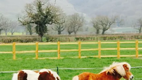 Rowdey Cow Farm Cafe & Ice Cream Parlour in Devizes